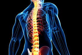 The Back Pain Pandemic – Rising up to the Challenge