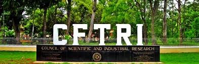 CFTRI ROLLS OUT “RAGI MUDDE” (PORRIDGE BALLS) MAKING MACHINE - TOP ...